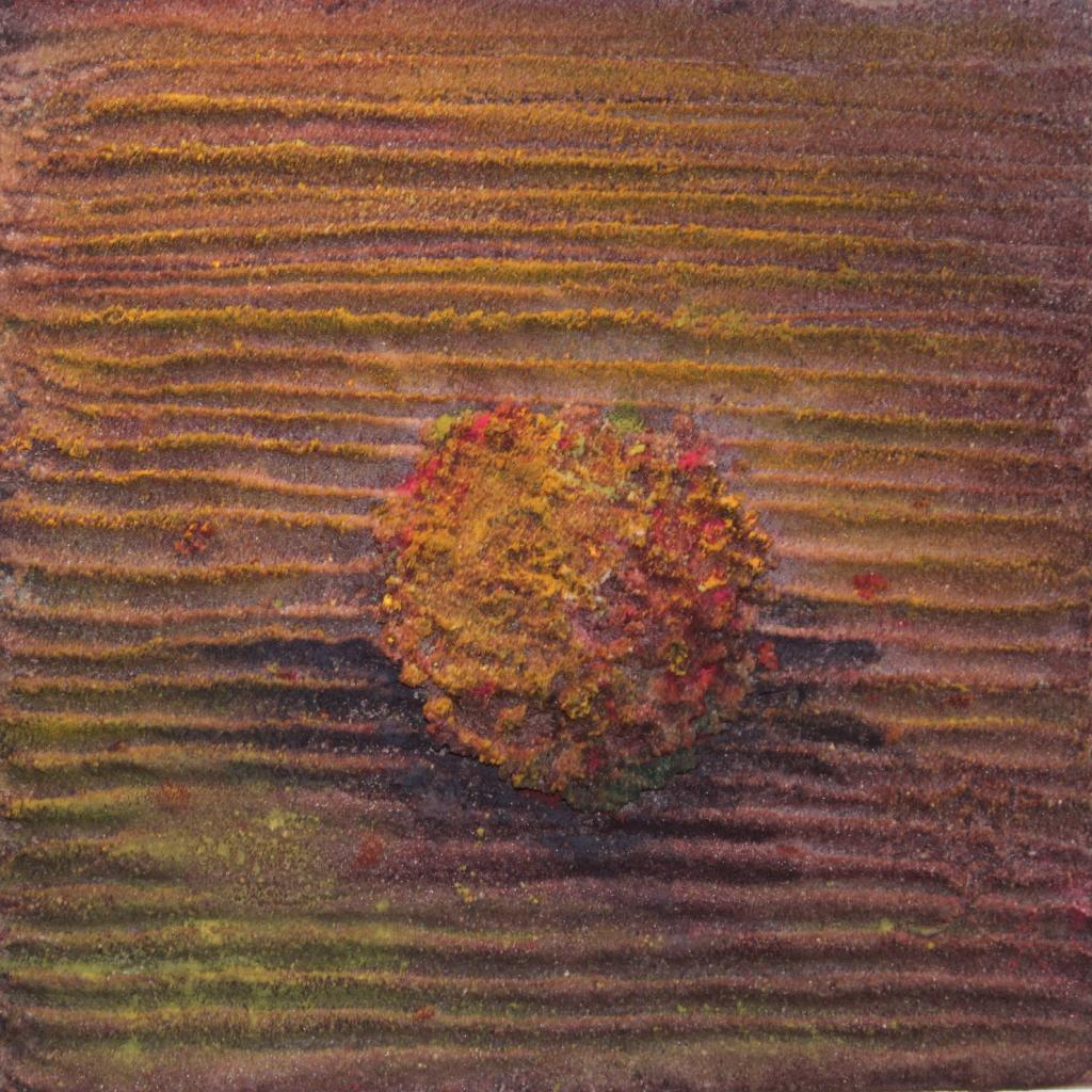 Potager 4