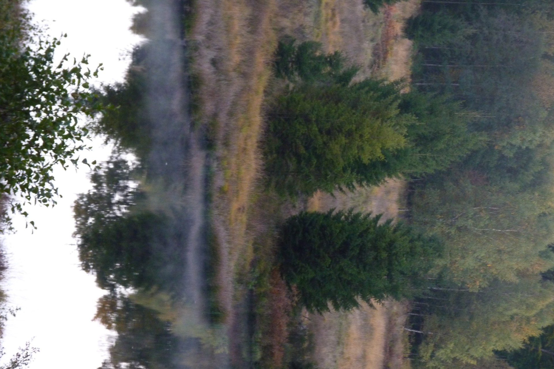 P1270585
