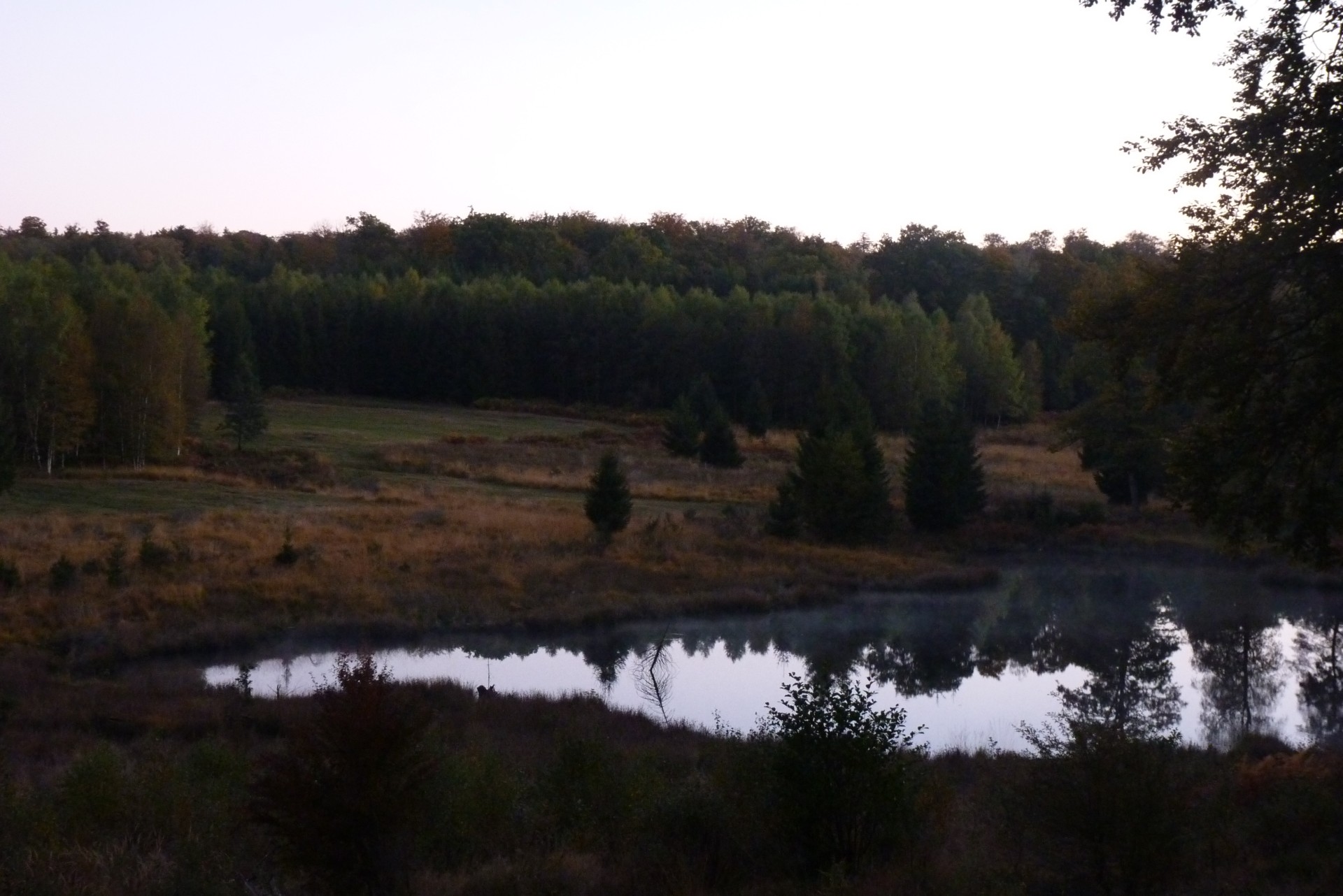 P1270586
