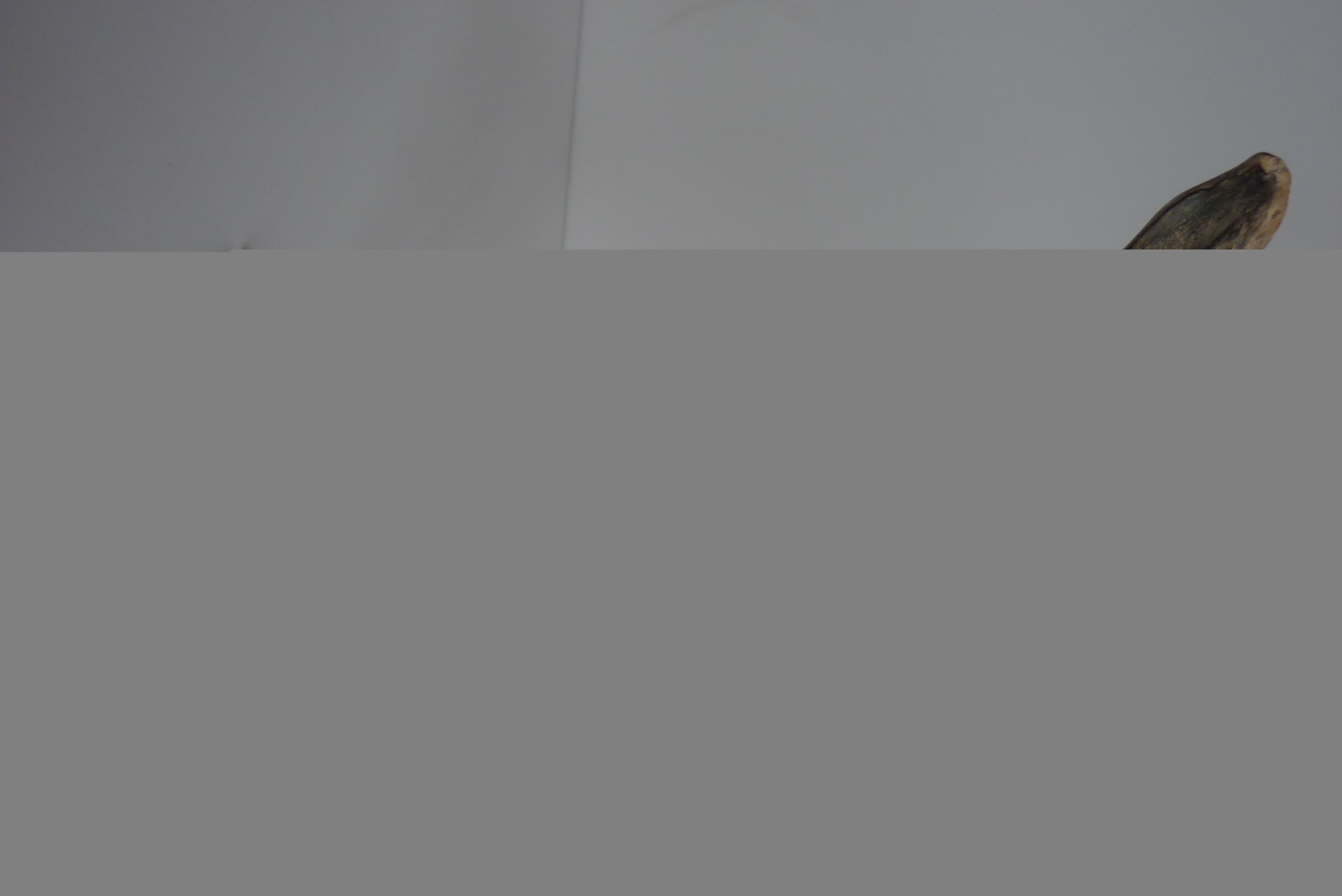 P1270587